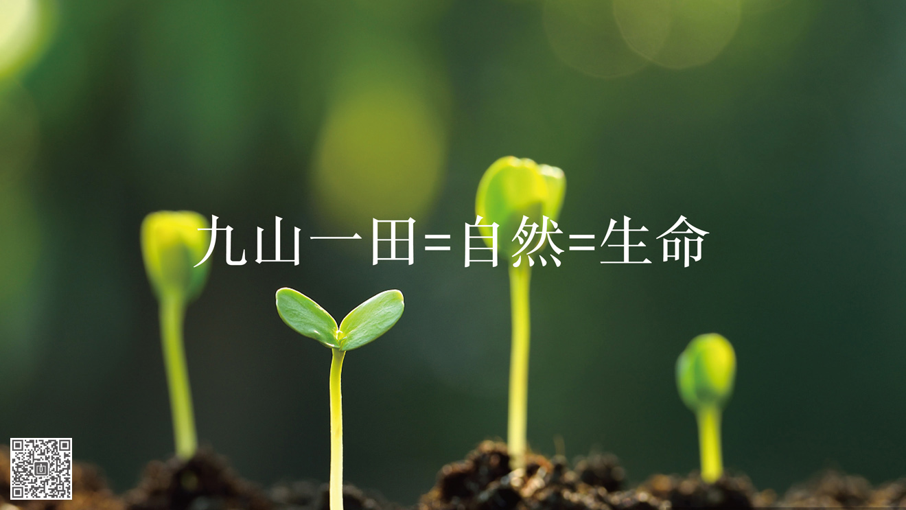 九山一田品牌&營(yíng)銷(xiāo)包裝策劃設(shè)計(jì)